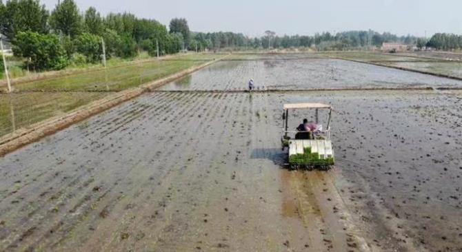 青島市即墨區(qū):支部領辦合作社 蹚出致富新路子